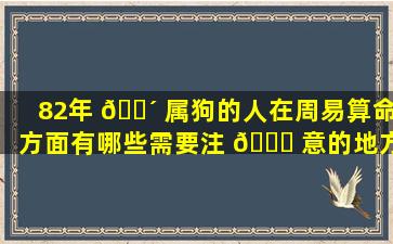 82年 🌴 属狗的人在周易算命方面有哪些需要注 🕊 意的地方